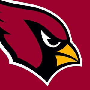 NFL Arizona Cardinals Large Logo Xbox 360 (Includes HDD) Skin